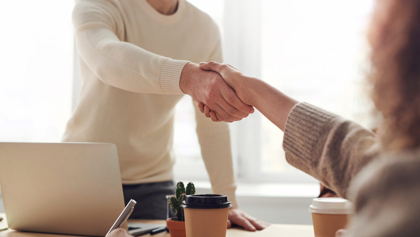 Translation partner shaking hands